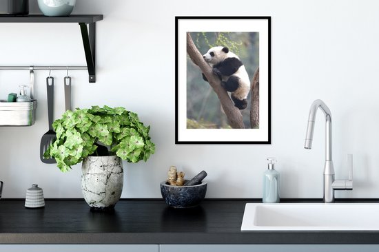 Jeune panda grimpe à un arbre 30x40 cm - petit