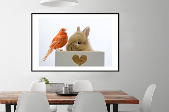 Photo encadrée - Bébé lapin avec un cadre photo oiseau rouge noir avec passe-partout blanc 80x120 120x80 cm - Affiche encadrée (Décoration murale salon / chambre)