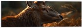 Dibond - Zijaanzicht van Hert in Zonnestralen in het Bos - 60x20 cm Foto op Aluminium (Met Ophangsysteem)