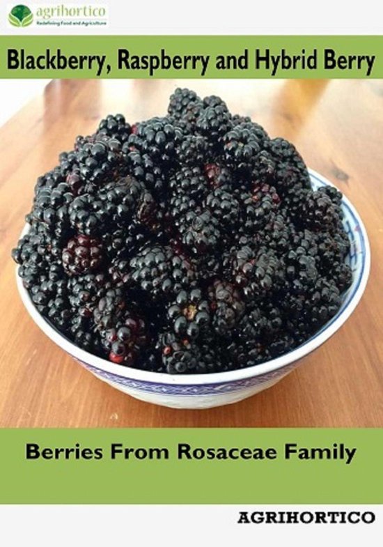 Blackberry, Raspberry and Hybrid Berry: Berries from Rosacea ... - cover