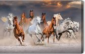 Schilderijkoning - Canvas Schilderij Paarden In De Woestijn - 40 x 30 cm