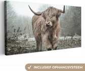 OneMillionCanvasses - Muurdecoratie - Schotse hooglander - Natuur - Herfst - Bos - 80x40 cm - Woonkamer - Slaapkamer - Canvas schilderij koe