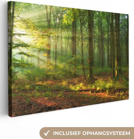Canvas - Canvas natuur - Zon - Bladeren - Boom - Muurdecoratie - Kamer decoratie - 120x80 cm