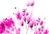 Fotobehang - Vlies Behang - Roze Paardenbloem - 312 x 219 cm