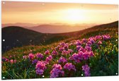 Tuinposter – Roze Bloemenveld boven aan de Berg bij Zonsondergang - 150x100 cm Foto op Tuinposter (wanddecoratie voor buiten en binnen)