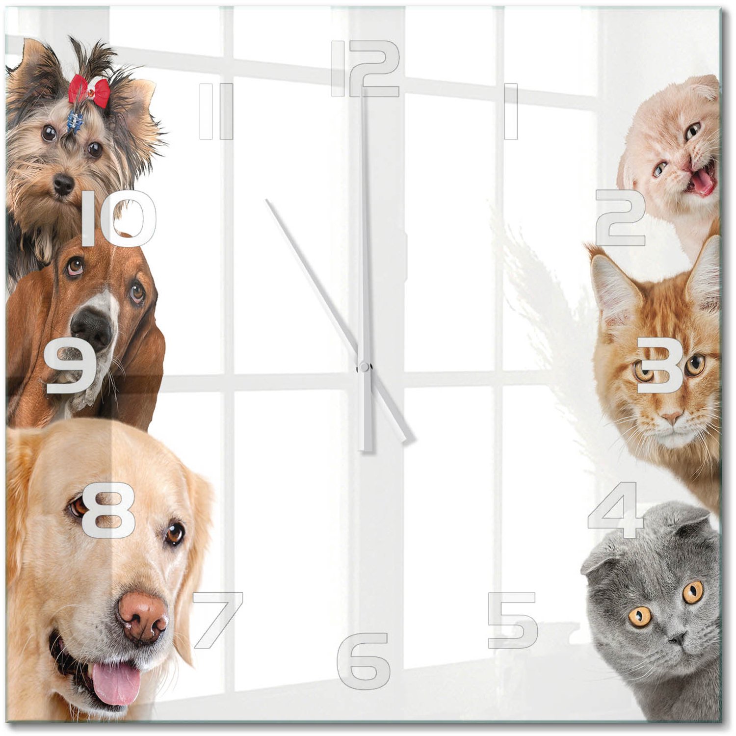 TULUP Wandklok - Honden en katten Decoratieve Glazen Klok - 60x60 cm - Beige Glazen Wandklok Design - Witte handen - Vierkante Klok - Glazen Klok Met Print - Wandklok Glas Met Motief