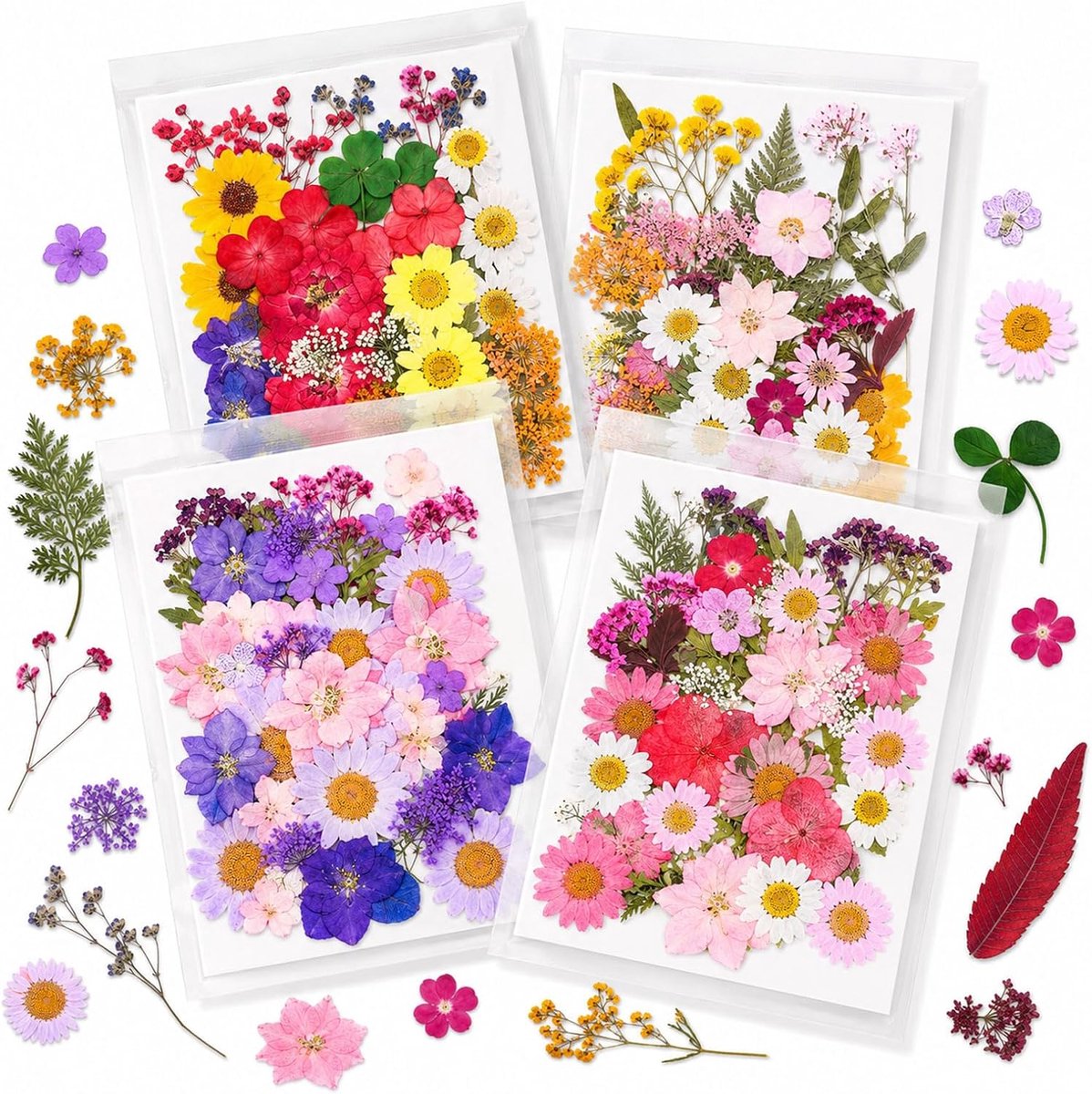 Bloemen voor knutselwerk, decoratieset in bloemenpersstijl met opbergdoos, accessoires met thema gedroogde bloemen voor DIY-kunst, harsdecoratie en scrapbooking