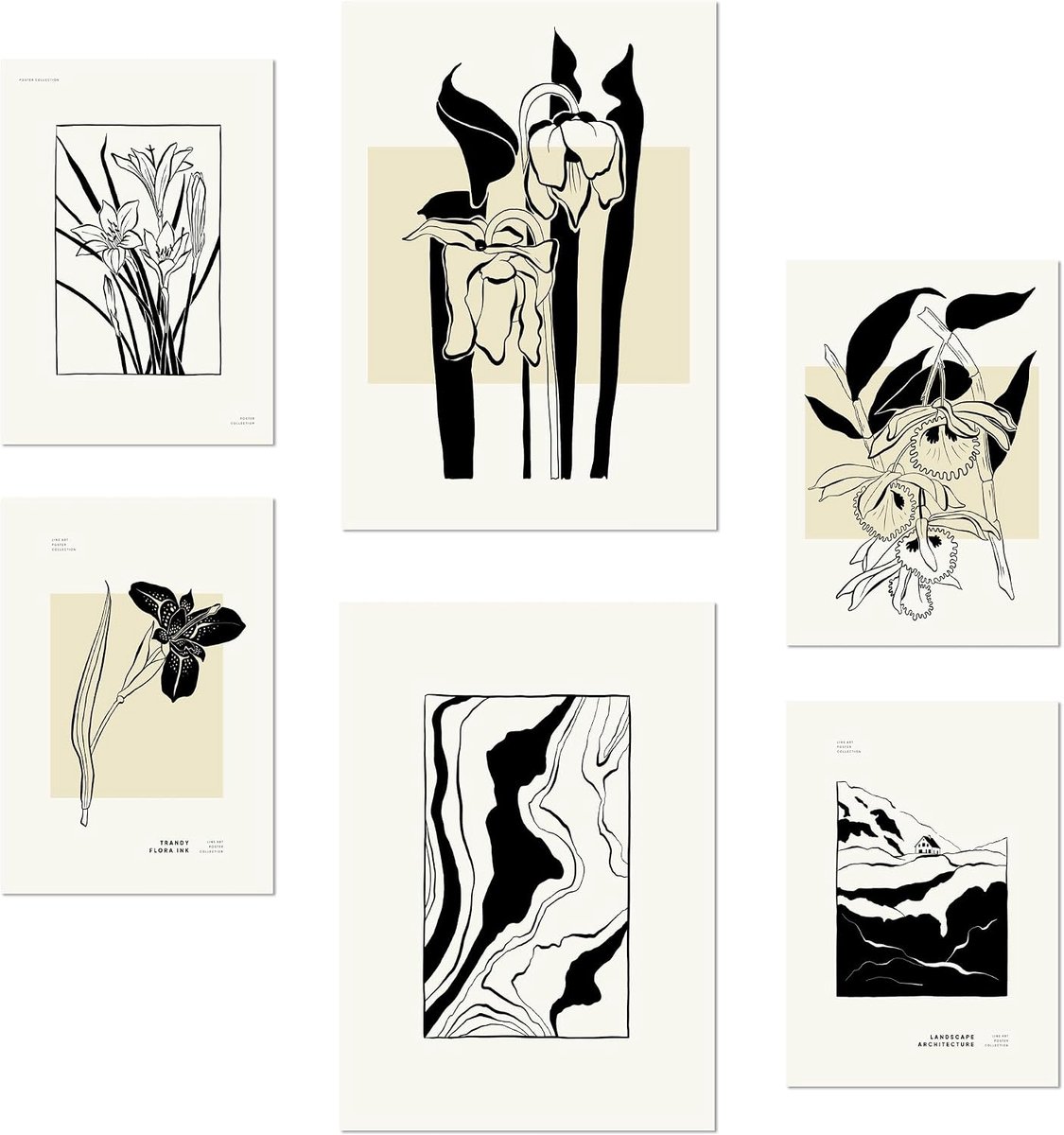 Nacnic Set of 6 B&W Flowers Posters with design illustration to decorate the walls of home. Rooms, office, shop and - ShopVlot