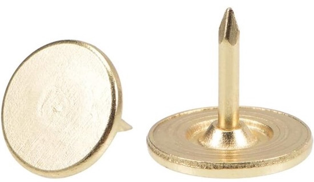 100x stevige spijkers - platte kop - Decoratieve duimspijkers - voor prikbord, meubels en wanddecoratie