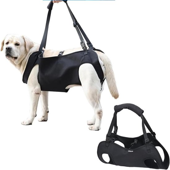 Verstelbare Hondenharnas met Kussen en Leash voor Oudere en Gehandicapte Honden met Artritis - Zwart (L) — afbeelding 5