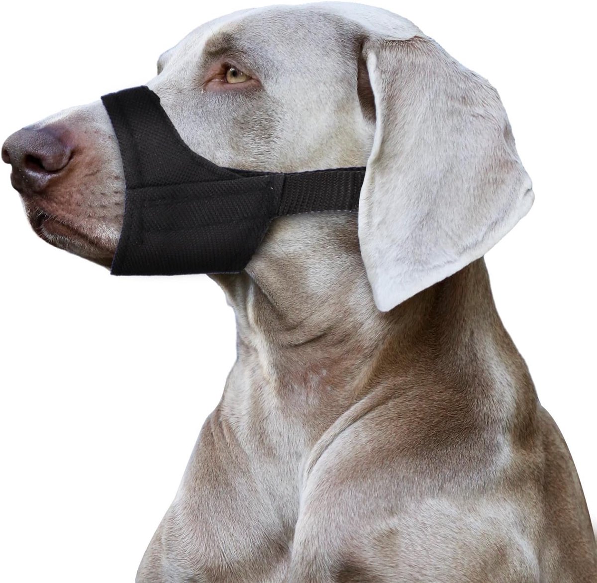 Hondensnuit met Korte Snuit, Hondensnuit voor Kleine en Middelgrote Honden Huisdierveilige Hondensnuit Anti Bijten en Blaffen Snuit voor Chihuahua Hiromi Shih Tzu, Snuitomtrek 17,8-21cm