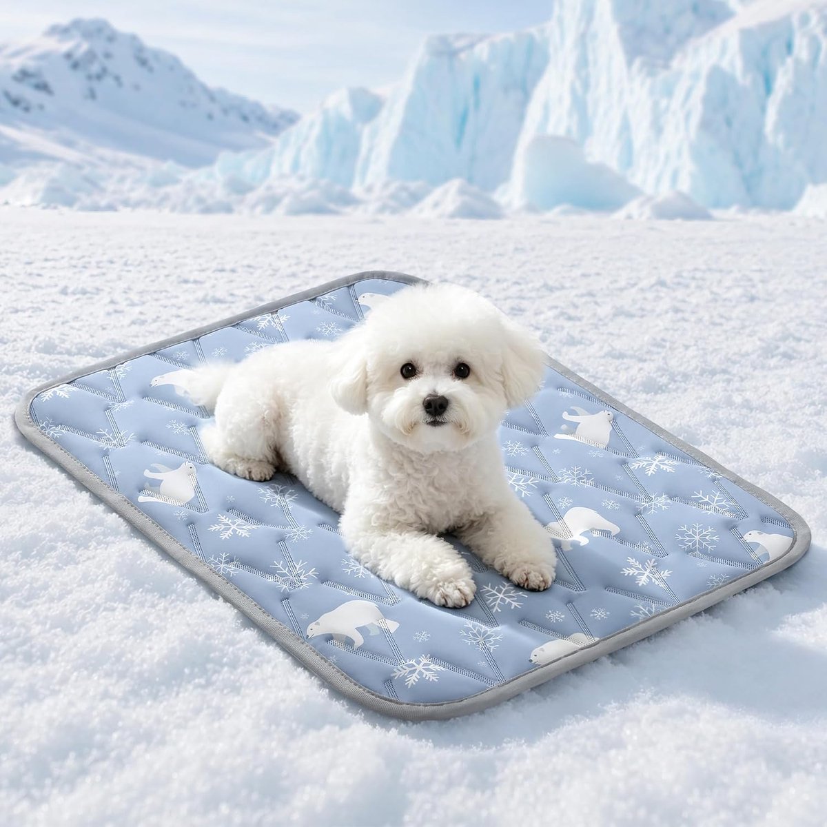 Koelmat voor Honden 60x45cm, Q-MAX >0,5, Gelvrije Zelfkoelende Mat voor Kleine Honden & Katten, Koeltextiel, Waterdichte Onderkant, Ademend & Wasbaar, voor Bench, Vloer, Sofa & Auto, Blauw