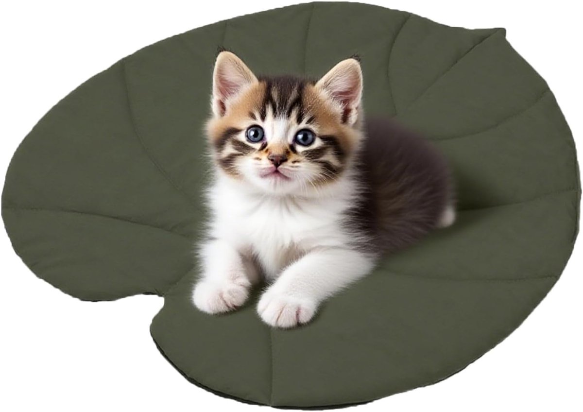 Hondenmat | Bladeren Vorm Hond Koelmat - Huisdier Levering Dubbelzijdige Isolatie Kat Pad voor Thuis Reizen Auto Tuin Balkon Outdoor Slaapkamer Appartement Woonkamer Indoor Outdoor