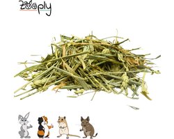 Zooply Groene Haver - Kruiden & Snacks - 100% natuurlijk - Voor konijnen & cavia's - 300 gram