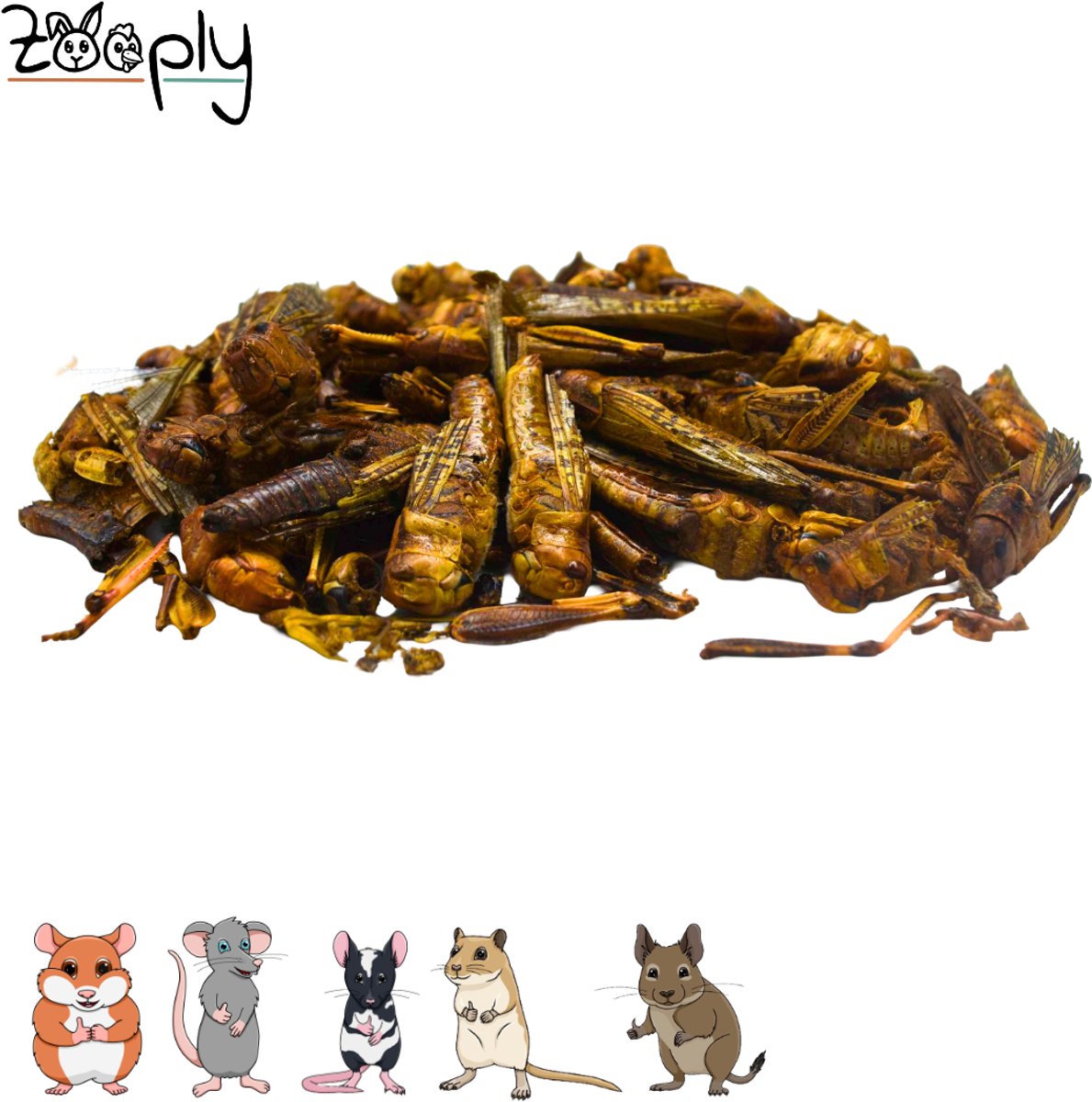 Zooply Sprinkhanen - Kruiden & Snacks - 100% natuurlijk - Voor hamsters, gerbils & ratten - 50 gram