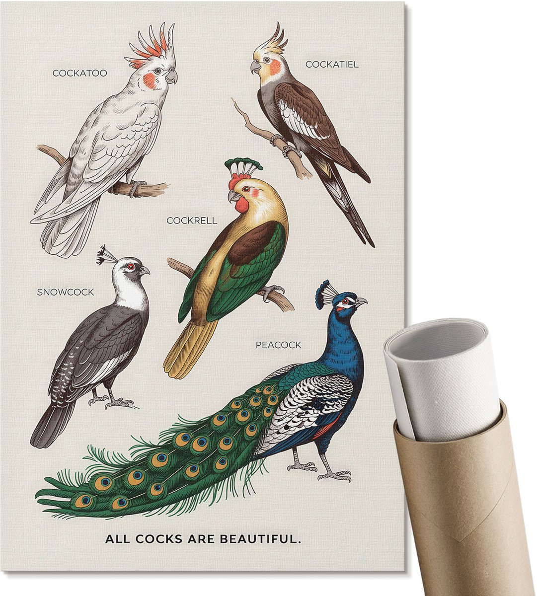 Coloray Polycanvas Wandposter - Kleurrijke Vogels, Illustratie - A4 - Groen Decoratie - Rechthoek - Canvasposter - Woonkamer, Slaapkamer, Kantoor - Humoristisch