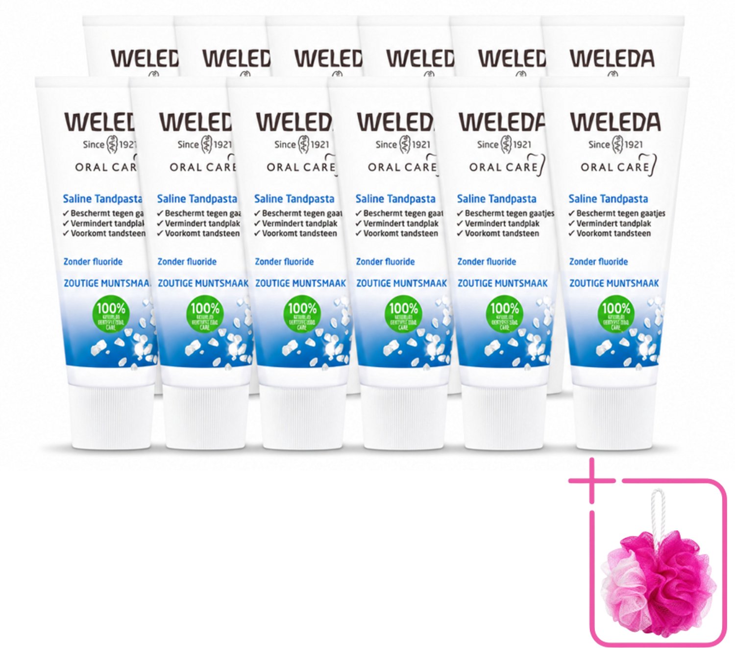 12 x WELEDA - Tandpasta Saline - 75ml - Bulkverpakking - Tandpasta - Douchemop - Zeezout