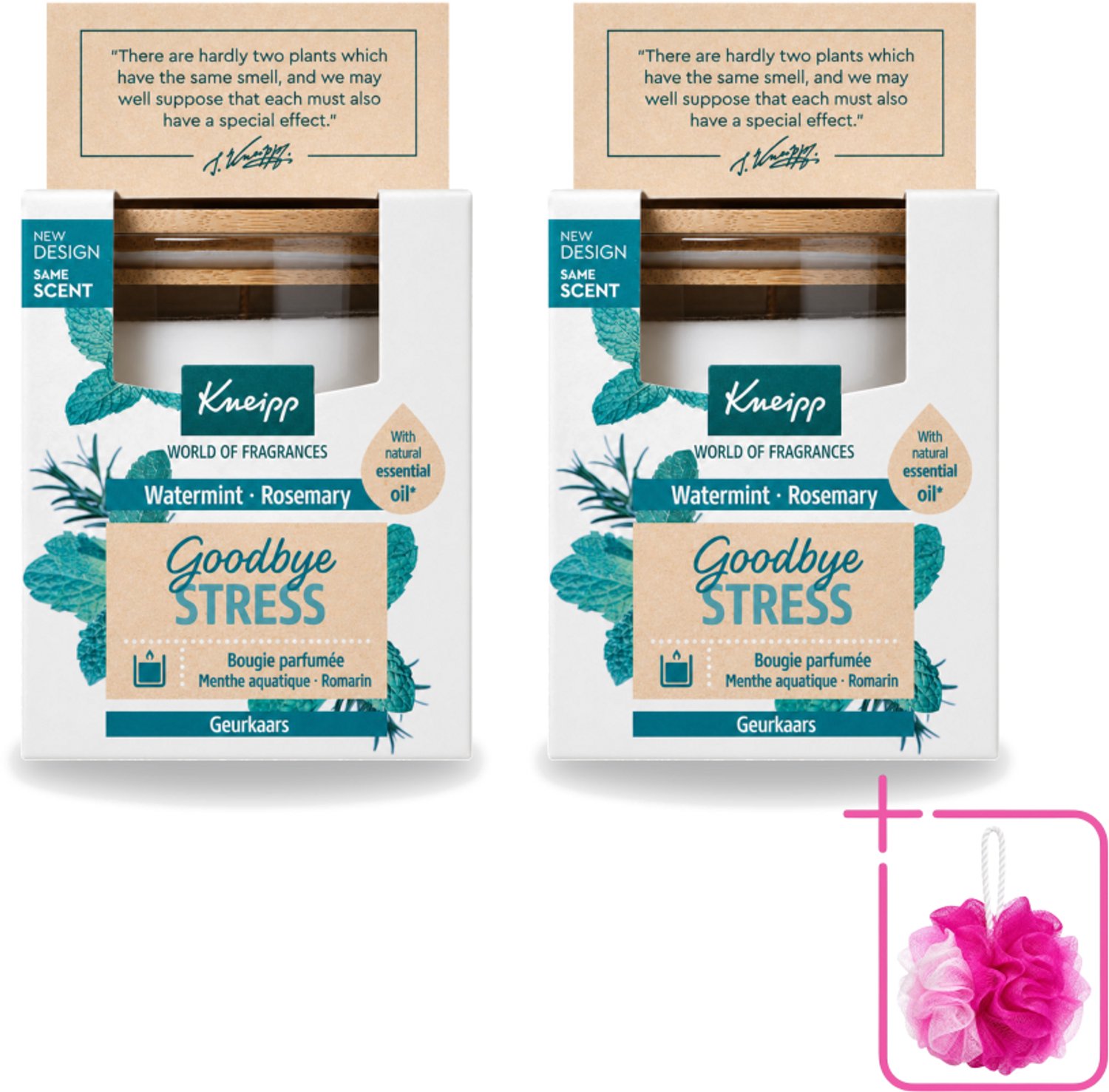 2 x Kneipp - Geurkaars - Goodbye Stress - Watermunt & Rozemarijn - 20 branduren - Bulkverpakking - Geurkaars - Douchemop - Ontspanning