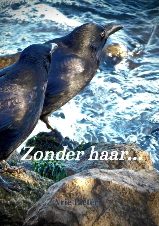 Twee zwarte kraaien op rotsen bij stromend water met de witte tekst 'Zonder haar...' en 'Arie Pieter'.