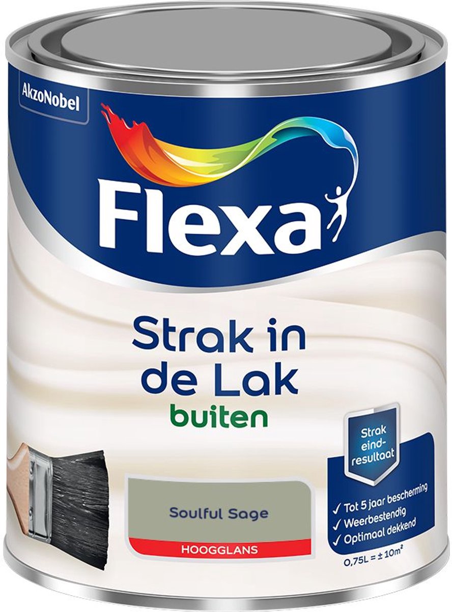Flexa - Strak In De Lak Buitenlak Hoogglans - Soulful Sage - 750 Ml - Kleur Van Het Jaar 2027