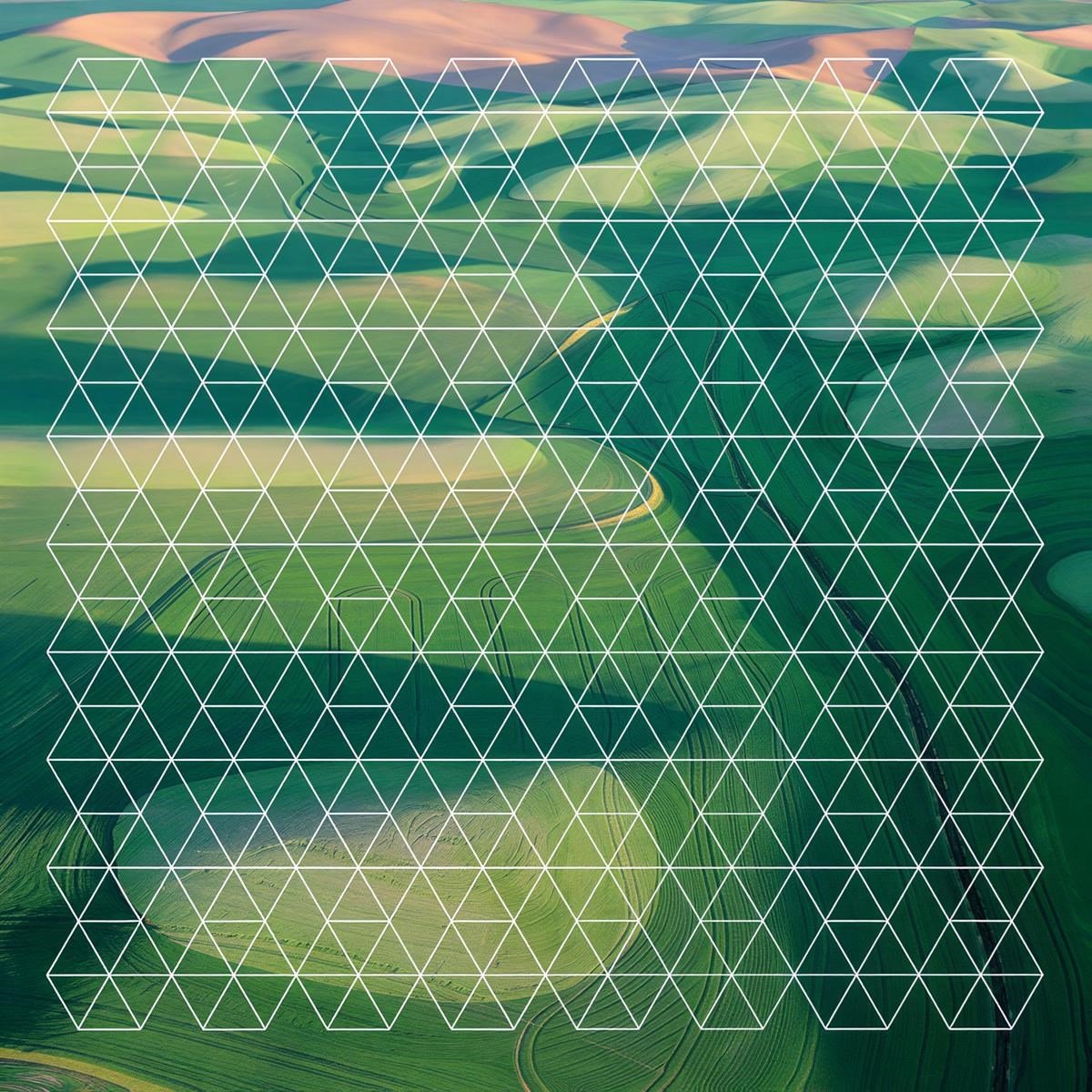 Henry Plotnick - Fields (CD)