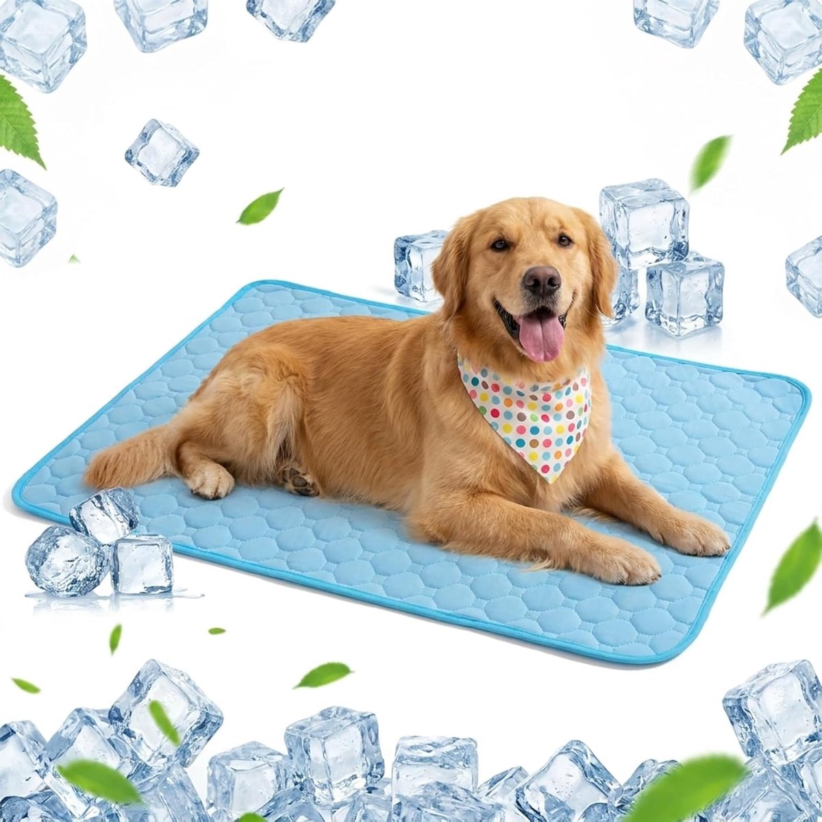 Koelmat voor honden, 50 x 70 cm, zelfkoelende pads voor honden en katten in de hete zomer, hondenkoelmat, zelfkoelend, ideaal voor zomer en reizen (M)