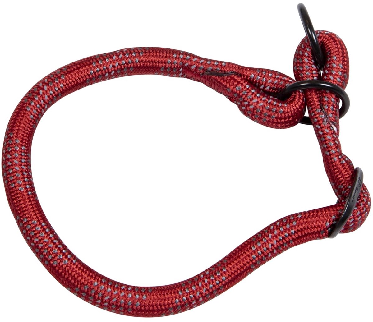 Elzusha - Hondenhalsband Luminous Dots - Rood - Maat 12 mm x 35-40 cm