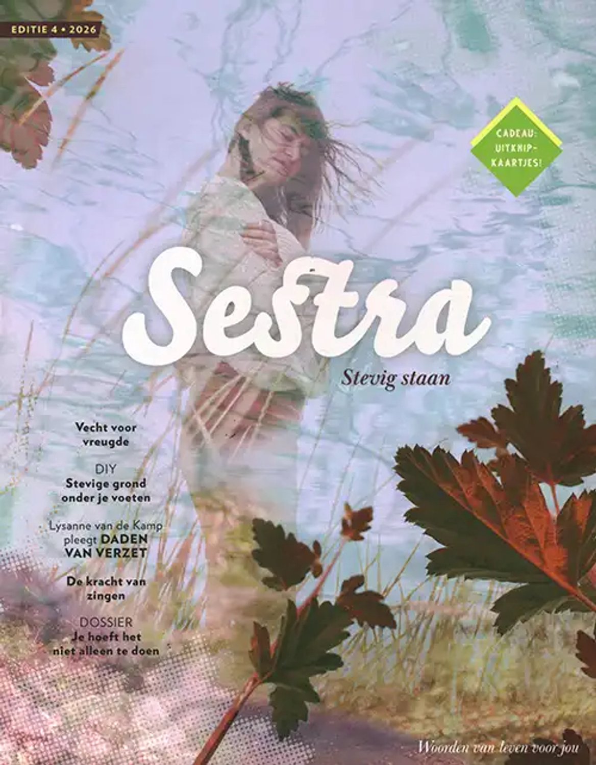 Sestra - 04 2026