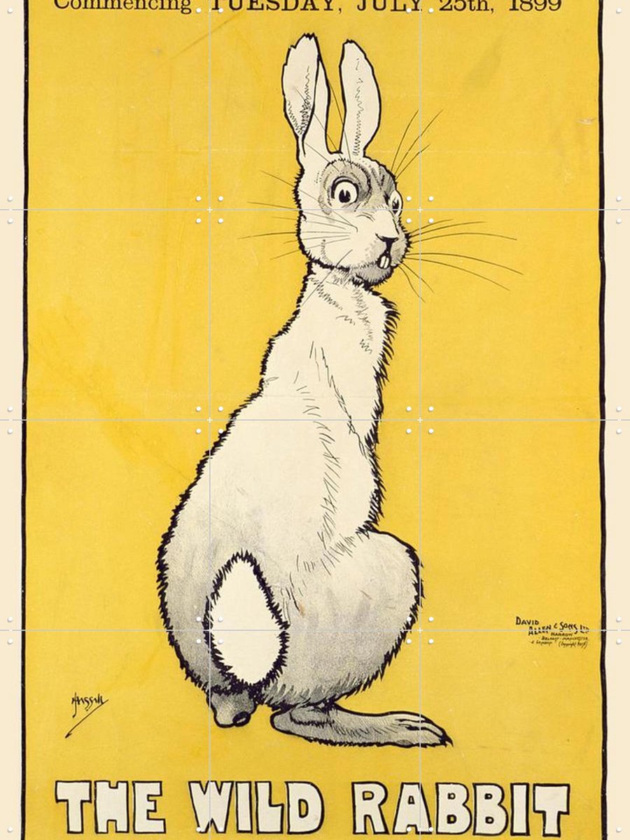 IXXI The Wild Rabbit, Bridgeman Images - 60 x 80 cm - Gratis ophangtool - Grote wanddecoratie en posters - Kleurrijk, Speels, Illustraties, Vintage
