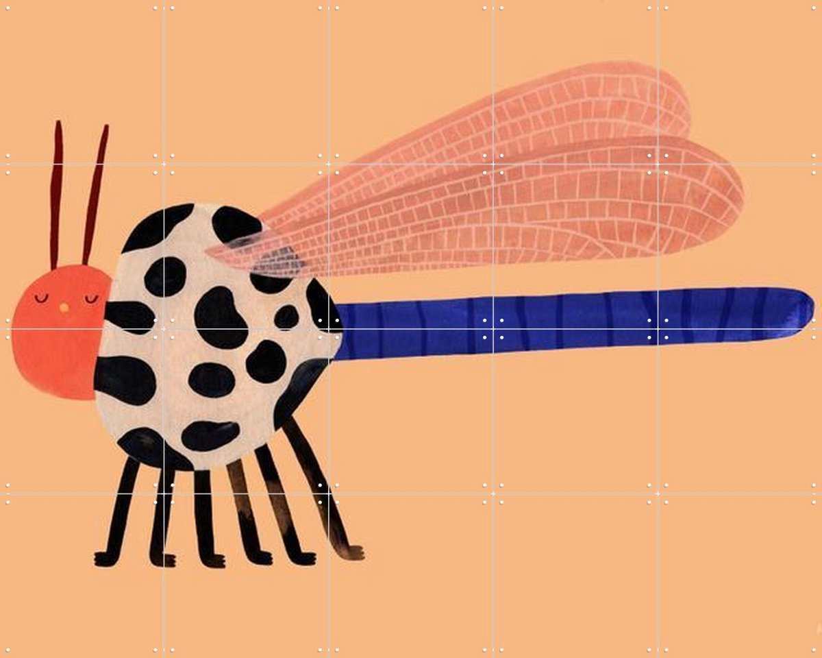 IXXI Chubby Dragonfly, Aniek Bartels - 100 x 80 cm - Gratis ophangtool - Grote wanddecoratie en posters - Kleurrijk, Speels, Illustraties, Cartoonesk