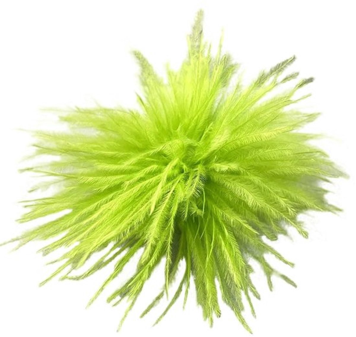 Smoakez - Dames veerbroche - Pluizige struisveren - Perfect voor bruiloften en