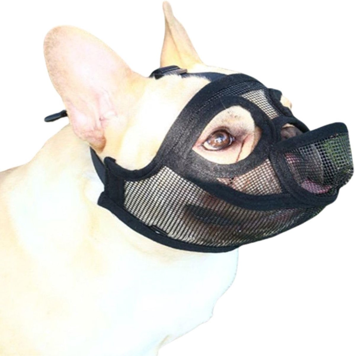 Muilkorf Franse bulldog, muilkorfs voor kleine honden, ademende muilkorf van netweefsel, maakt drinken en eten mogelijk, anti-biting, kauwen, blaffen, hondenmuilkorf (M)