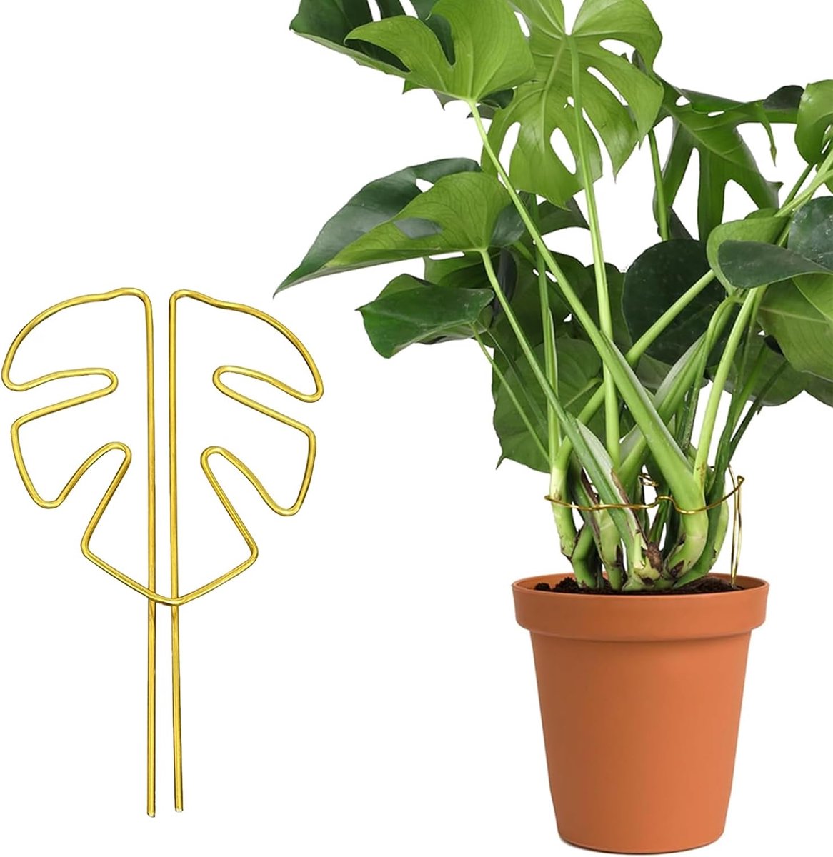 Plantensteunpalen, plantensteunen voor kamerplanten, plantensteun in bladdesign, klimrek voor potplanten, voor binnen- en buitenplanten, decoratie