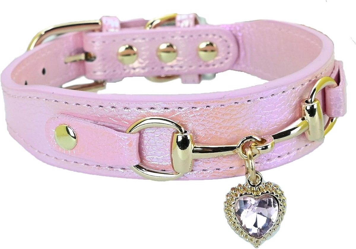 Leuke Hond Halsband met een Legering Hartvormige Hanger voor Kleine Honden Katten
