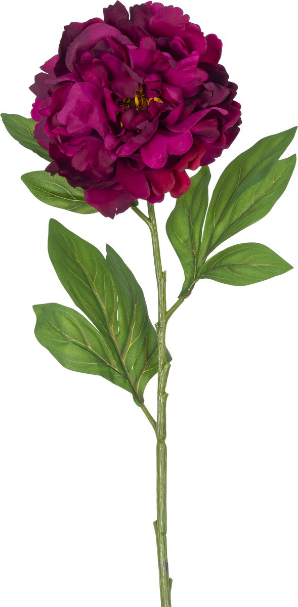 Easyplants | Kunstbloem Pioen 77 cm aubergine | Zijde | Nepbloemen | aubergine | Onderhoudsvrij | Kant-en-klaar