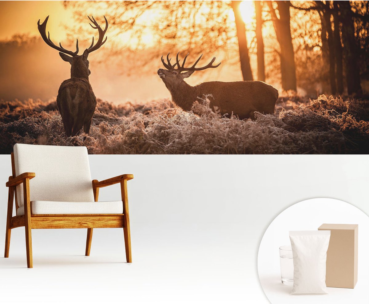 Wallfluent Fotobehang - Oranje Vliesbehang - 250x104 cm - Herten In De Ochtend Muurschildering - Gang behang Dieren - Fotobehang Vlies - Slaapkamer behang