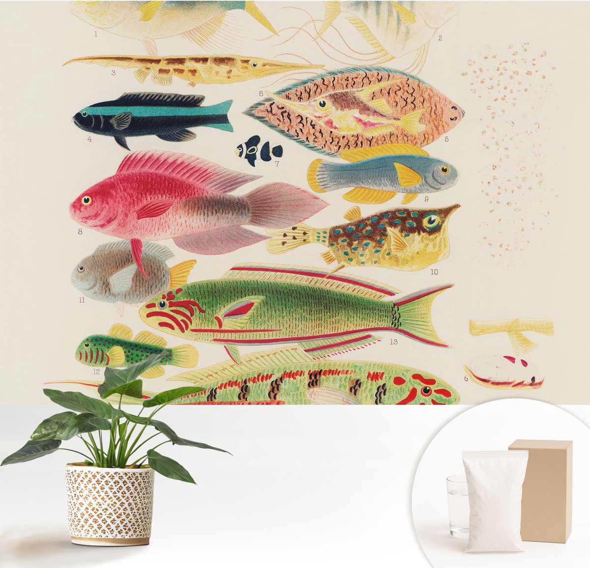 Wallfluent Fotobehang - Beige Vliesbehang - 152x104 cm - Kleurrijke Vissen Muurschildering - Gang behang Dieren - Fotobehang Vlies - Slaapkamer behang
