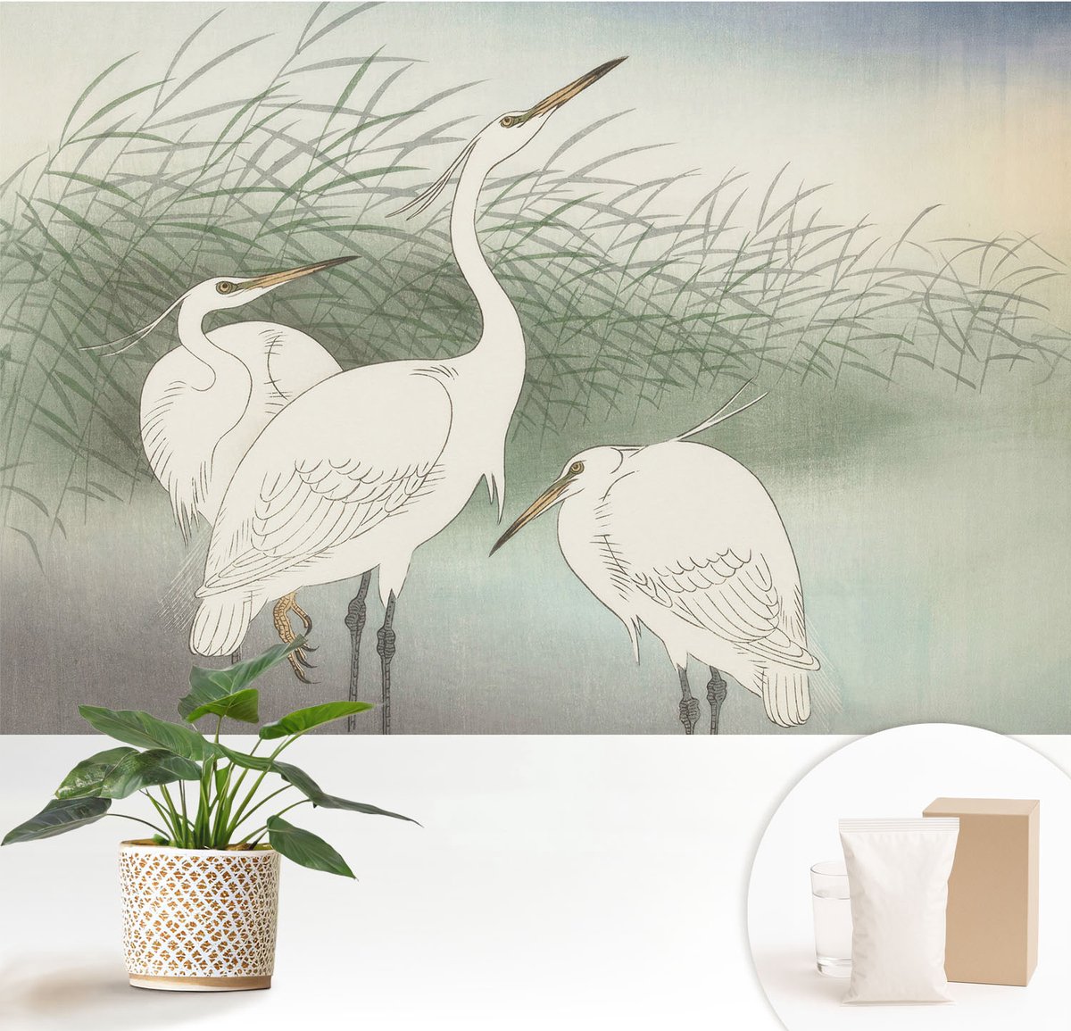Wallfluent Fotobehang - Wit Vliesbehang - 152x104 cm - Reigers In Het Gras Fotobehang Vlies - Woonkamer behang Dieren - Muurschildering - Hal behang