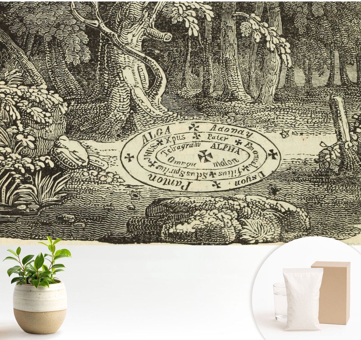 Wallfluent Fotobehang - Zwart-Wit Vliesbehang - 104x70 cm - Magische Cirkel Muurschildering - Slaapkamer behang Bloemen En Planten - Fotobehang Vlies - Slaapkamer behang