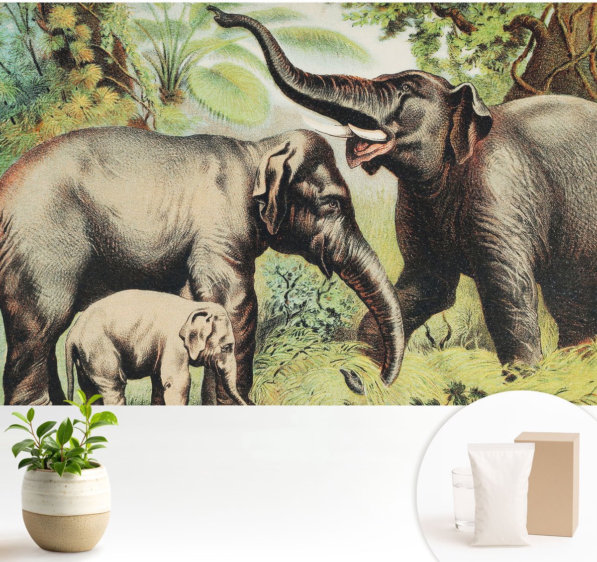 Wallfluent Fotobehang - Groente Vliesbehang - 104x70 cm - Familieolifanten Muurschildering - Slaapkamer behang Landschappen - Fotobehang Vlies - Slaapkamer behang