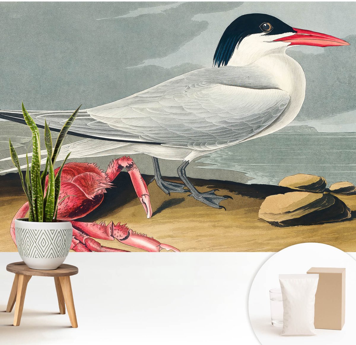 Wallfluent Fotobehang - Grijs Vliesbehang - 208x146 cm - Zeegezicht Fotobehang Vlies - Hal behang Dieren - Muurschildering - Woonkamer behang