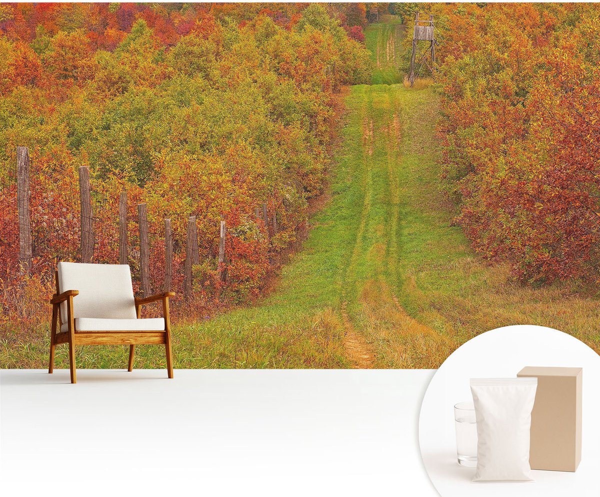 Wallfluent Fotobehang - Groente Vliesbehang - 416x254 cm - Herfstkleuren Fotobehang Vlies - Woonkamer behang Landschappen - Muurschildering - Hal behang