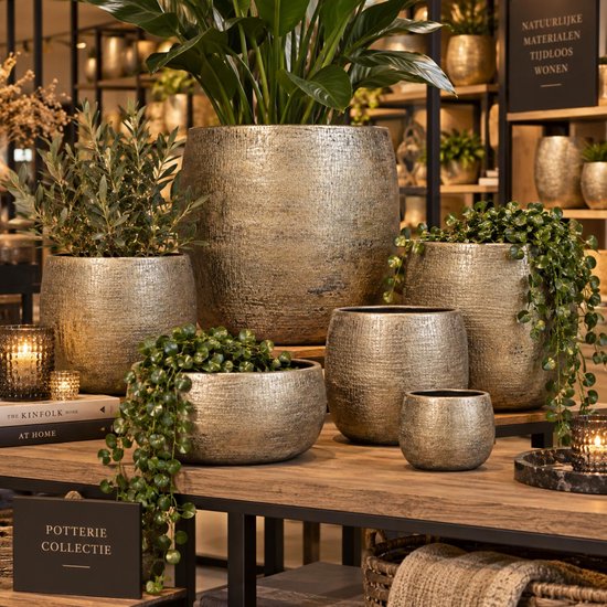 Diverse gouden bloempotten met textuur, met planten erop.