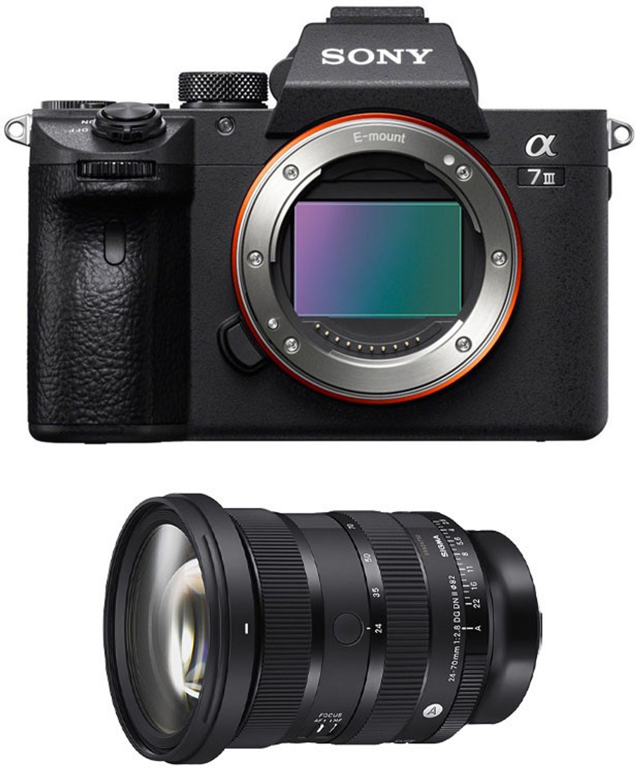 SONY Alpha 7 III + SIGMA Objektiv 24-70mm f/2.8 DG DN II Art