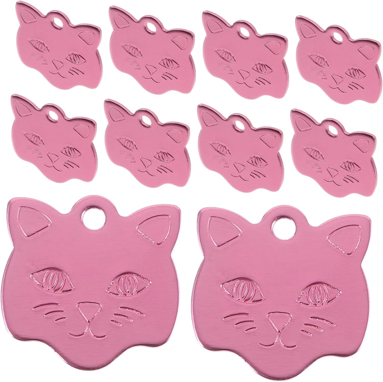 10stuks Kat Hoofdvorm Huisdier Naam Tags Sterke Pet Id Tags Voor Honden Katten Schattige Hanger Voor Hondhalsbanden Gegraveerd Met Naam Telefoonnummer
