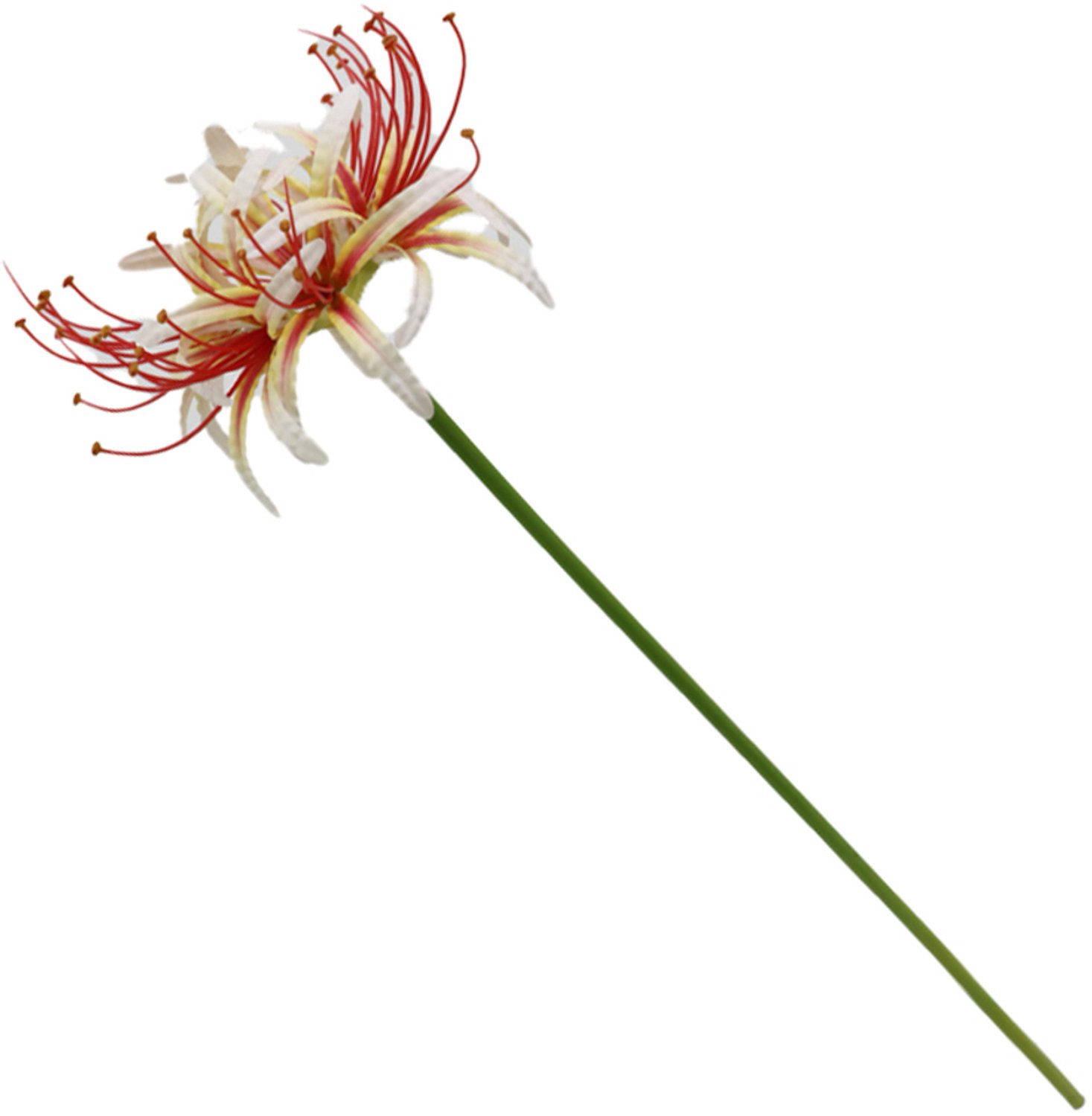 homebound by ky Kunstbloem real touch amaryllis roze | kunstbloem