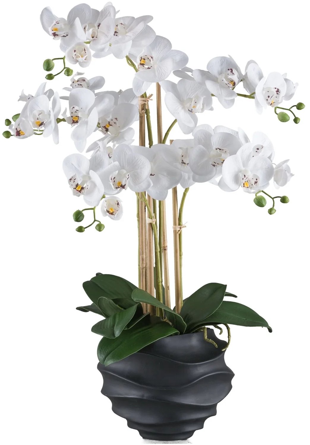 KOPU® Kunstorchidee 70 cm - Wit - 5 takken - Zwarte pot - Phalaenopsis