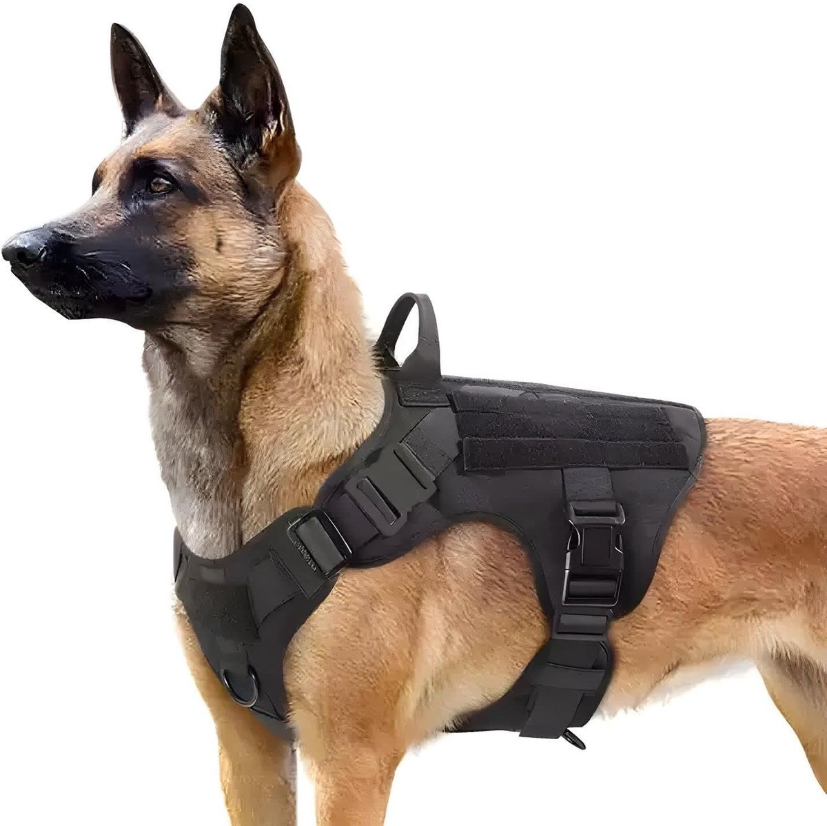 Force Tactisch harnas voor middelgrote en grote honden met handgreep, verstelbaar, gevoerd, zwart, maat L