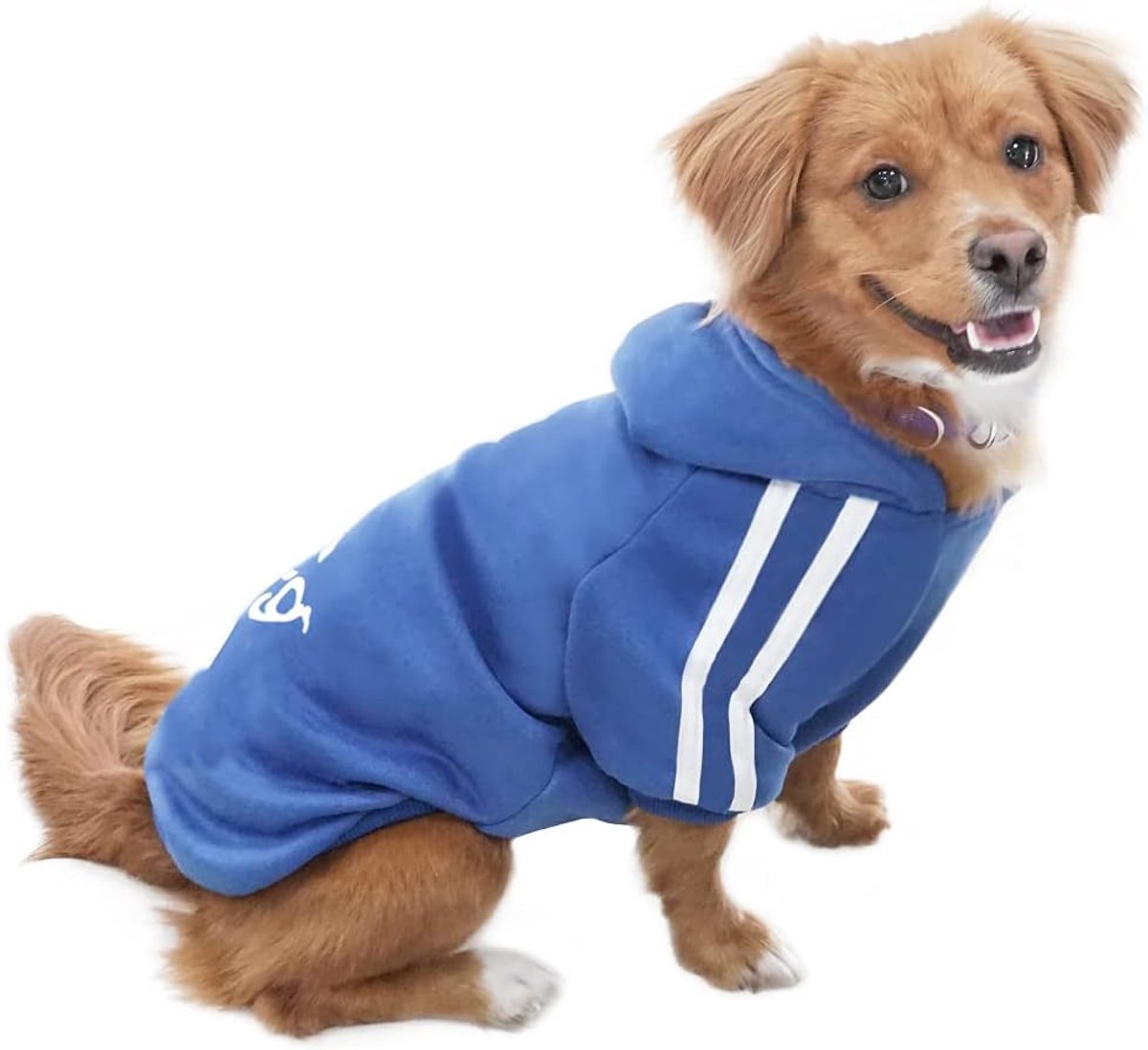 kleding voor honden, huisdierkleding, saffierblauw, maat XS