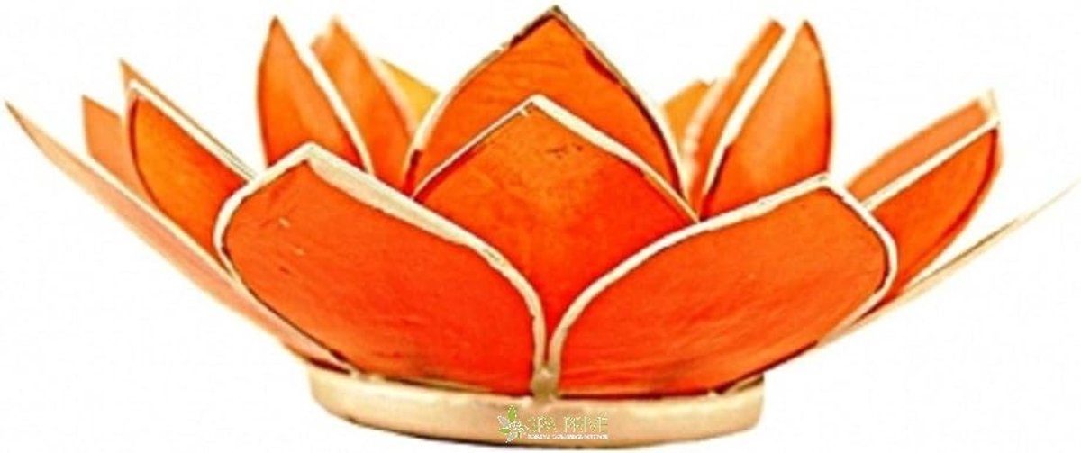 Theelichthouder kaarsenhouder lotusbloem Capiz oranje 13.5cm